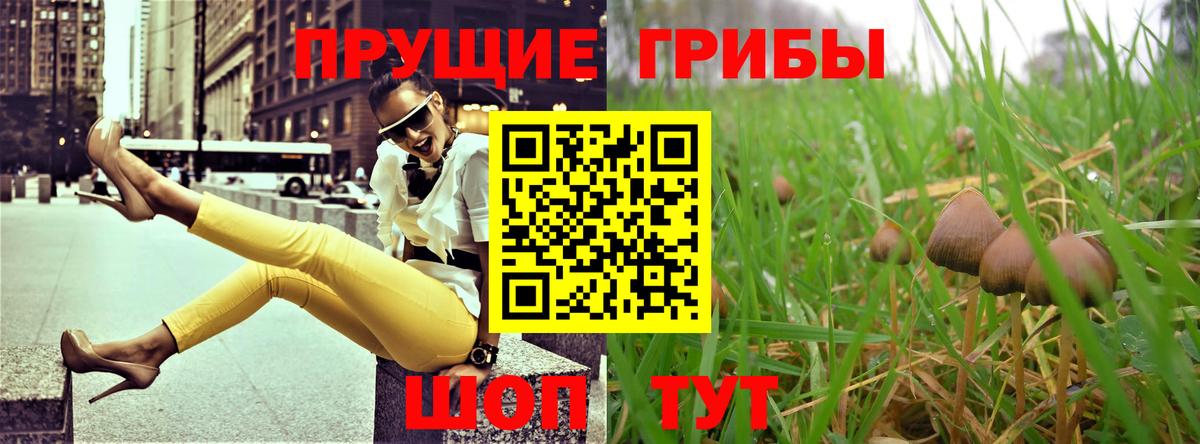 Псилоцибиновые грибы мухоморы Мценск